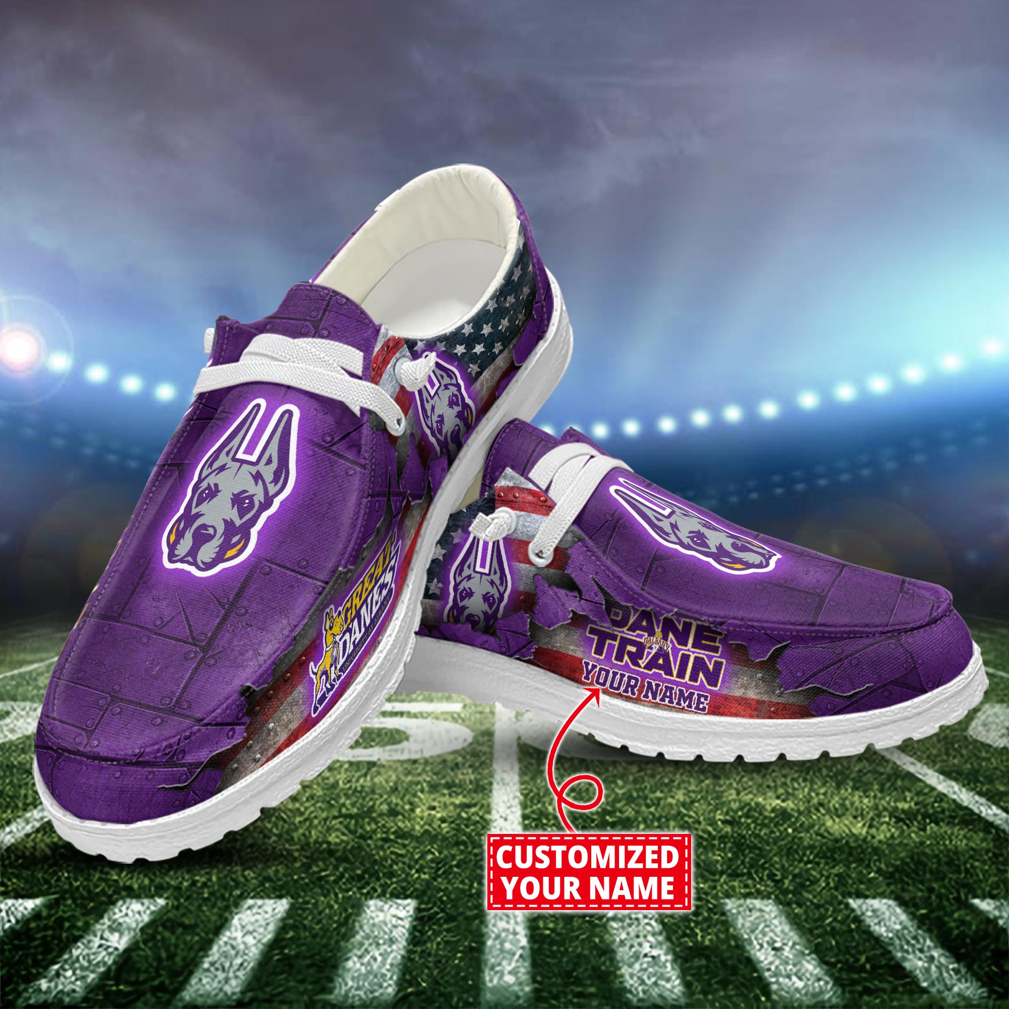Albany Great Danes Personalized Hey Dude Shoes For Men And Women ST15819