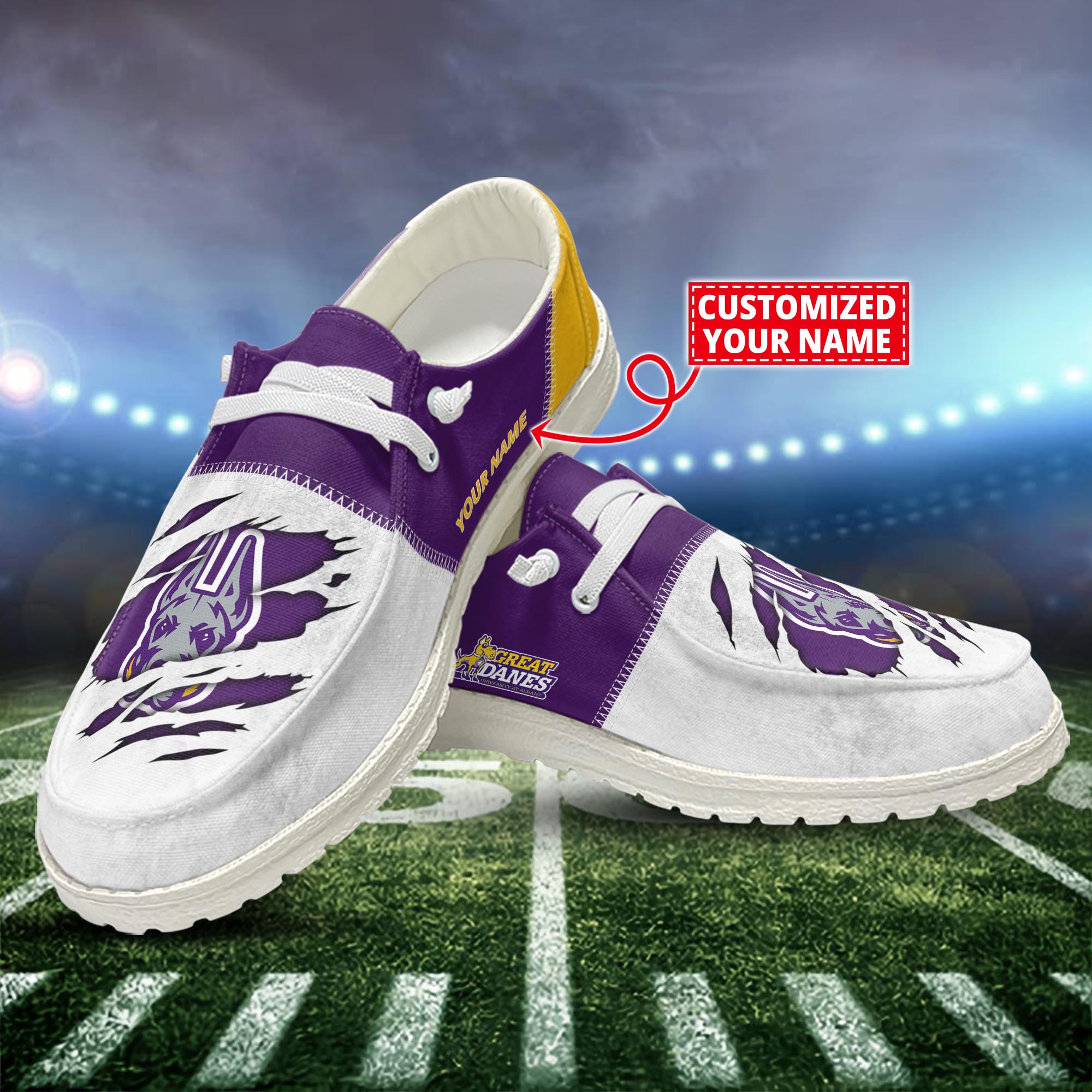 Albany Great Danes Personalized Hey Dude Shoes For Men And Women ST16326