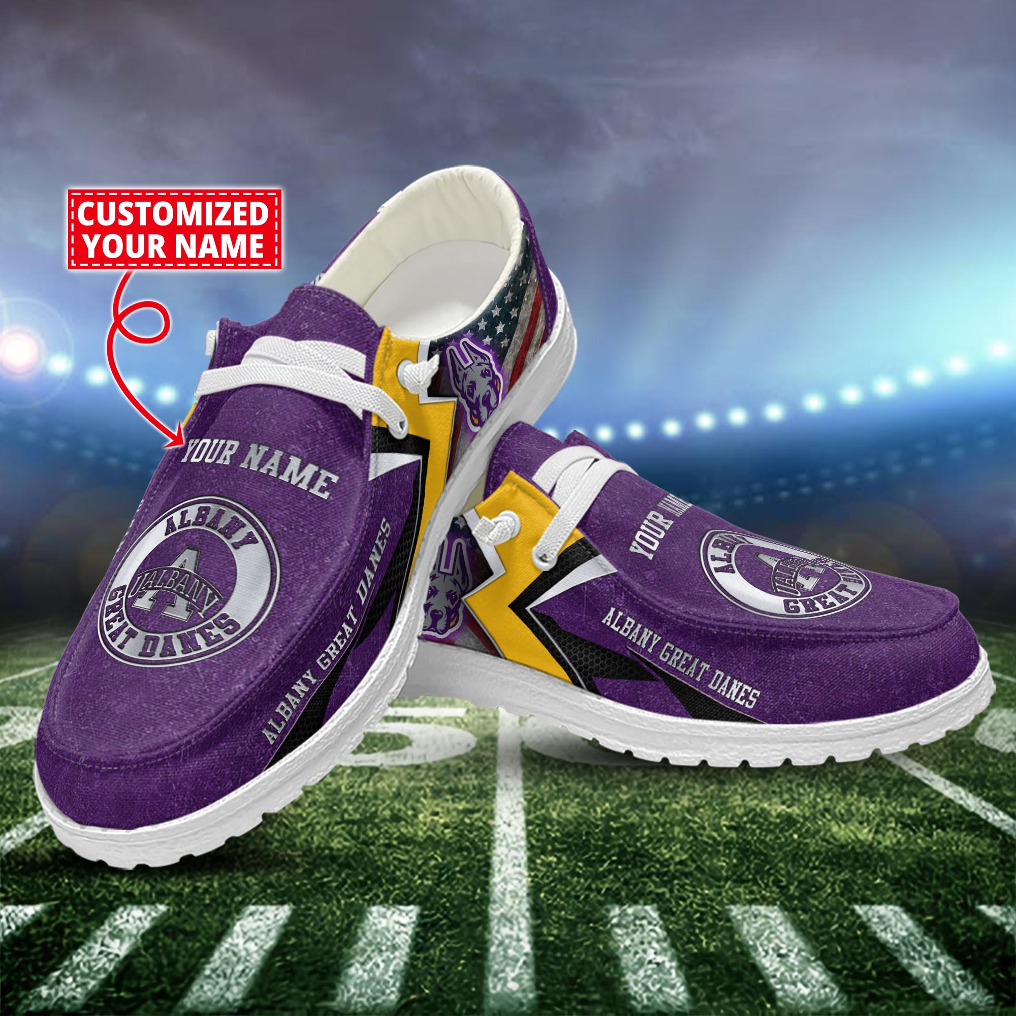 Albany Great Danes Personalized Hey Dude Shoes For Men And Women ST16334