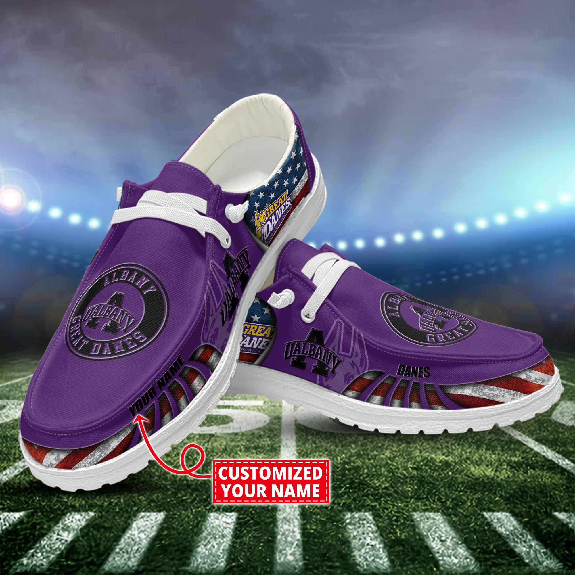 Albany Great Danes Personalized Hey Dude Shoes For Men And Women ST1818